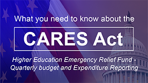 CARES ACT - Quarterly Icon CARES ACT - Quarterly Icon